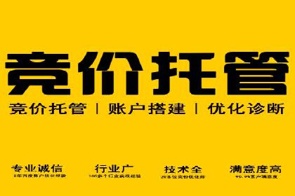 SEM竞价托管代运营成功案例解析